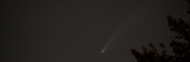 Comet Neowise